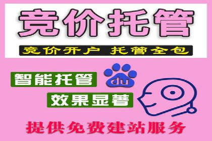 成功企业案例：竞价SEM托管助力业绩腾飞